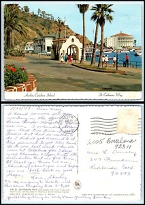 Postal de California - Isla Catalina, Avalon, Camino de Santa Catalina E10 - Imagen 1 de 1