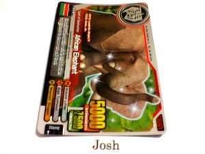 Animal Kaiser Evolution Evo Version Ver 7 Super Rare (A031EP: African Elephant)