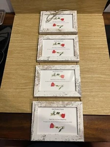 (4) Hanging Rustic White Wash Picture Frame Set 4x6 BS3 - Picture 1 of 5