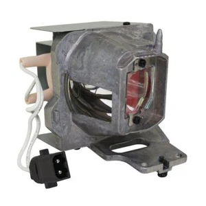 Optoma SP.7FM01GC01 Philips Projector Lamp Module - Imagen 1 de 5