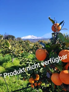 ♥️ Frische Saftorangen Sizilien kg 17 fur saft BIO Kostenloser Versand . - Bild 1 von 8
