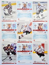 2014-15 KHL Dinamo Riga Pick a Player Card