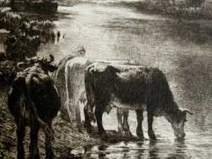 Constant Troyon "l'Abrevoir" Eau-forte 1897 tirage 525 exemplaires - Picture 1 of 9