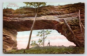 Kentucky's Natural Bridge People On & Under c1909 Vintage Divided Back Postcard - Picture 1 of 4