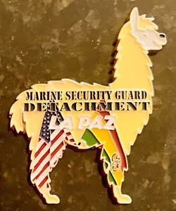 MSG-Det Marine Security Guard Detachment La Paz, Bolivia Challenge Coin - Picture 1 of 3