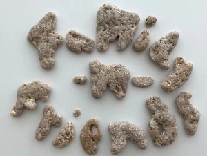 Pietre naturali a forma di lettera FAMIGLIA-N-FRIENDS spiaggia rocce parola strega ciottoli arte US - Foto 1 di 14