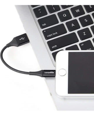 AmazonBasics 4in Lightning to USB Cable MFi Certified iPhone Charger - - -2 PACK - Image 1 of 4