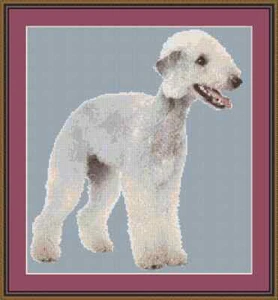 Bedlington Terrier Dog Cross Stitch Kit - Picture 1 of 2
