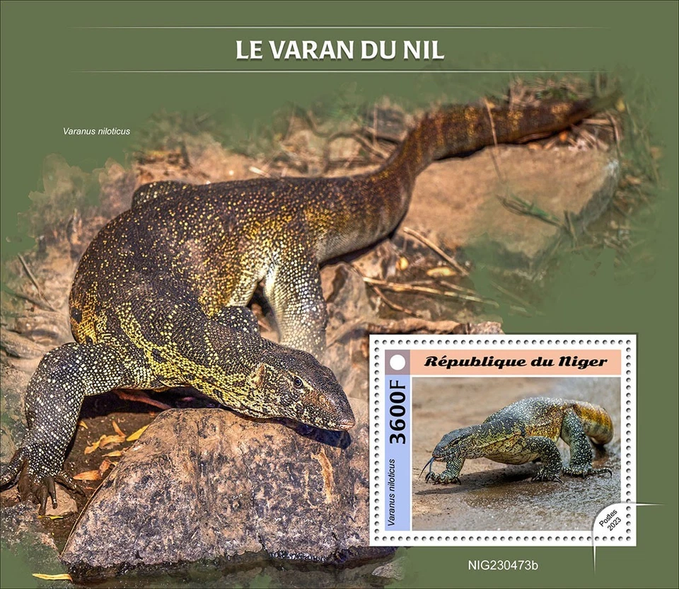 Estampillas de monitor del Nilo Varanidae Lizard MNH 2023 Níger S/S Foto 1 de 1