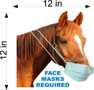 MASCARILLA FACIAL DE CABALLO REQUIERE CALCOMANÍAS DE VINILO ESCAPARATE (ELIGE TU TALLA Y LVSR) - Imagen 1 de 11