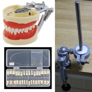 Repuesto dental modelo Kilgore Nissin 200 poste de montaje modelo Typodont 32 piezas 32 piezas - Imagen 1 de 50
