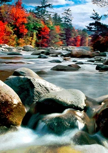 Postal de otoño de Nueva Inglaterra colores y río - 3D lenticular - Imagen 1 de 1