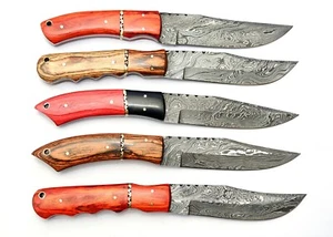 10 Zoll maßgeschneidert Damast Jagdmesser echtes Dollarholz fünf Stück Set - Bild 1 von 5