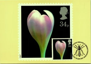Estampilla postal británica filatélica británica Flowers Crocus Colchicum - Imagen 1 de 2