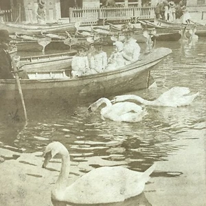 Lincoln Park Chicago IL Boats & Swans 1890 Vintage Stereograph Stereoview Card - Picture 1 of 7