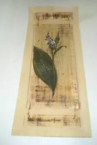 Lote de 10 póster arte Veratrum Nigrum 8 X 20 pulgadas nuevo - Imagen 1 de 1