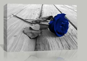 Navy Blue and Grey Rose Flower Canvas Wall Art Picture Print - Picture 1 of 6