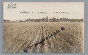 RPPC Farming Wheat Laughlin Farm NAPPANEE IN Indiana Foto Real Postal De Colección - Imagen 1 de 2