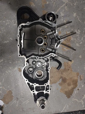 Harley Davidson Iron 883 XL883N 2009-2021 caja de manivela del motor lateral derecho Foto 1 de 4