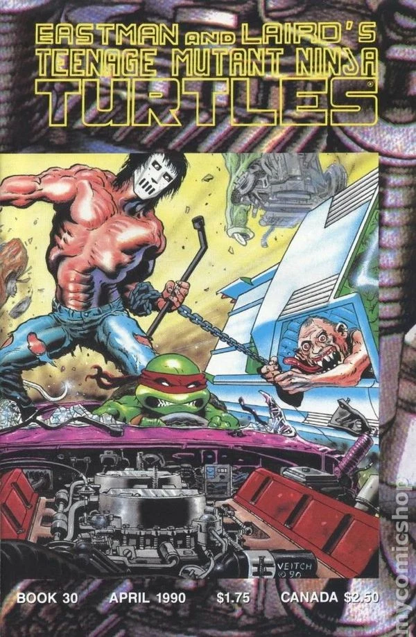 Teenage Mutant Ninja Turtles #30 FN 1990 Stock Image - Image 1 of 1