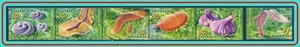AUSTRALIA 2005 PREHISTORIC OCEAN bottom ANIMALS + strip of 5 MNH CV$7.50 - Picture 1 of 1