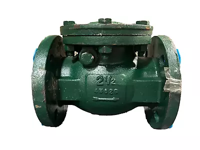NIBCO F-938-33 2-1/2 in. Ductile Iron Flanged Swing Check Valve Ductile Iron - Image 1 of 4