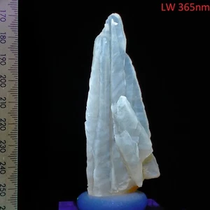 Calcite fluorescent long & short wave crystal w/ phosphorescent afterglow 241ct - Picture 1 of 8