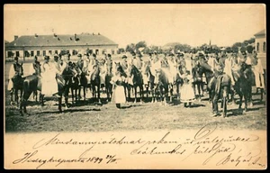 Hungary Old Postcard Group of men with Uniform on Horses Szeged? undivided 1899 - Picture 1 of 2