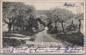 Postcard Ferndale New York 1908 Main Street Sullivan County Doane Cancel - Picture 1 of 2