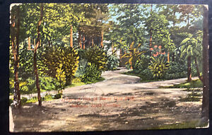 1907 Anderson SC USA Couverture de carte postale photo couleur Buena Vista Park View