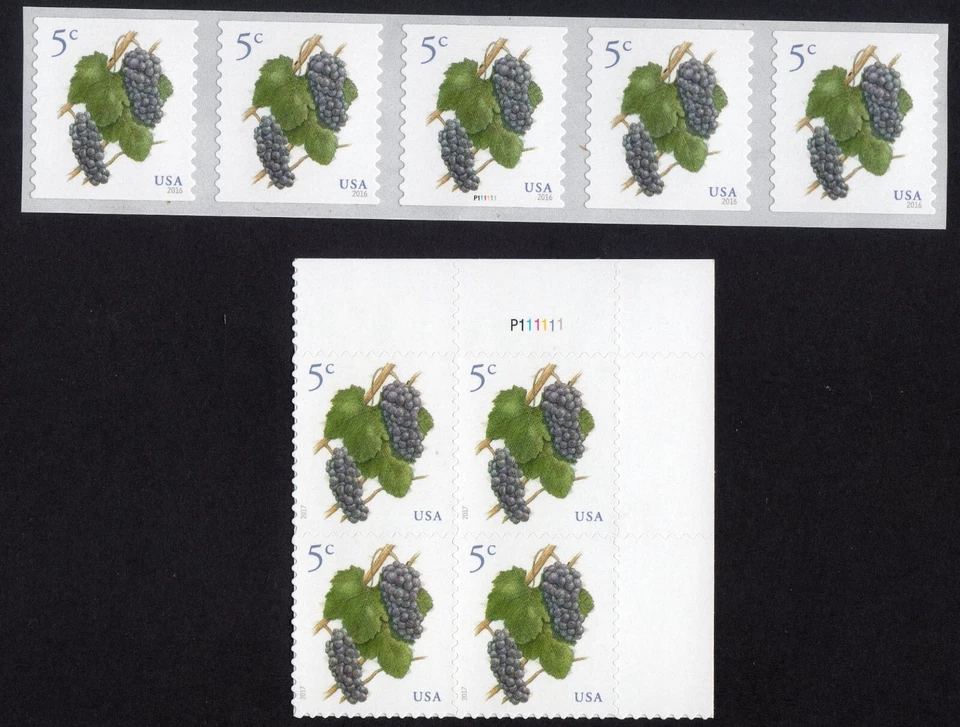 Scott #5038-5177 Grapes Plate Block & Plate # Coil (PNC5) of 5 Stamps - MNH - Image 1 of 1