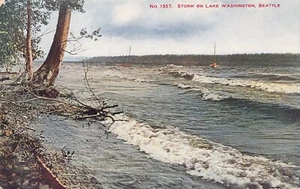 Seattle Washington Lake Washington principios de 1900 - Imagen 1 de 8