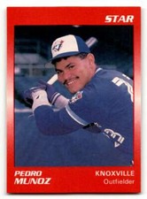 1989 Star #122 Pedro Munoz    Knoxville Blue Jays Baseball Cards NM-MT ID:62297