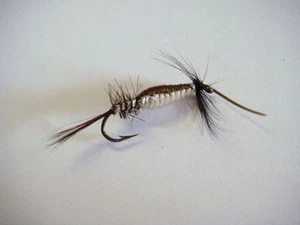 3x nymphes type larve domino H6 fliegen mosca fly - Imagen 1 de 1