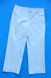 ANN TAYLOR LOFT ~ Cream Dress Style Pants ~ NEW ~ NWT ~ Women Ladies Size 8 - Picture 1 of 7