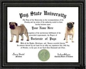 Diploma de Doctorado Pug Lover / Grado Hecho a Medida y Diseñado para Ti ÚNICO - Imagen 1 de 1