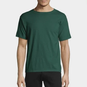 Hanes Big Men's Authentic Short Sleeve Tee, Deep Forest, 3XL - Picture 1 of 7