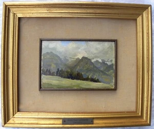 Anton Federico LEONARDI (Genova 1901-1970) Paesaggio splendido Olio su cartone - Imagen 1 de 14