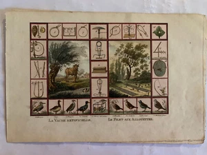 La Vache Artificiel Dogourc J. D. Versailles 1749-Paris 1825 Les Animaux Savants - Foto 1 di 4