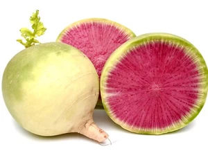 Radish Watermelon Red Meat - 50x Seeds - Winter Vegetable - Picture 1 of 1