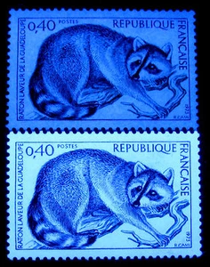 1973 The Guadeloupe raccoon,Raton,France,Mi.1843,Fluorescent paper variety,MNH - Picture 1 of 1