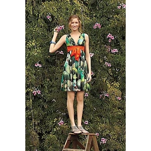 Women's Eva Franco Anthropologie Oroya Dress Printed Green Orange Size 8 - Picture 1 of 8