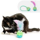 with Chirping Sounds Smart Cat Toy with Tail Voice Teaser Stick  Cats