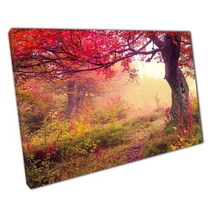 Bezaubernde Karpatenwaldlandschaft Leinwandbild: Mystische Herbstszene für - Bild 1 von 10