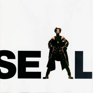 Seal - Used Cassette - 60 - P6999z - Picture 1 of 1