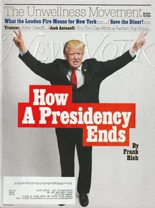 New York Magazine June 26-July 9, 2017 The Wellness Epidemic - Design Hunting - Picture 1 of 1