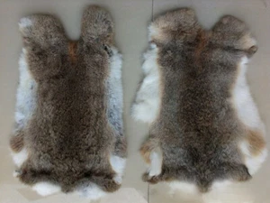 2 Pieces Natural Tanned Real Rabbit Pelts Fluffy Hides Leather Crafting Material - Picture 1 of 10