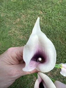 20PCS Artificial Fake Calla Lily Flowers Real Touch Calla Lily - Picture 1 of 5