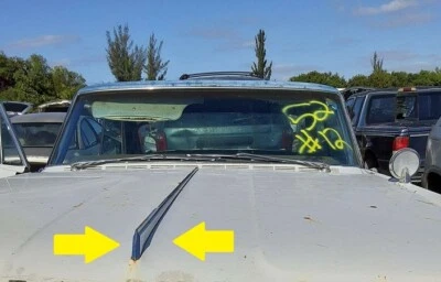 Oldsmobile Super 88 1964 capó lanza moldura 64 Foto 1 de 4