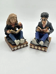 Libro vintage Enesco Harry Potter e Hermione Granger Buddy Boodends - Foto 1 di 7